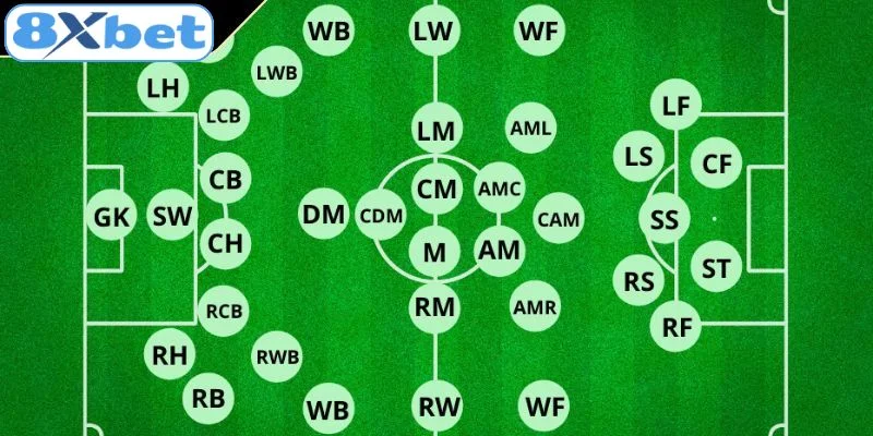 Vai trò, nhiệm vụ và tầm quan trọng của tiền vệ phòng ngự 