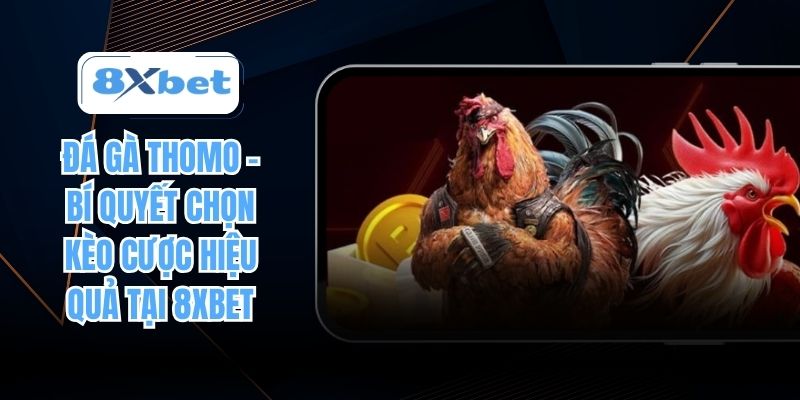 Đá gà Thomo